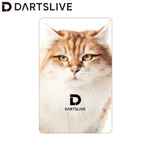 DARTSLIVE CARD #053 ＜07＞　(ダーツカード)｜dartshive
