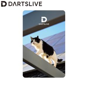 DARTSLIVE CARD #056 ＜06＞　(ダーツ カード)｜dartshive