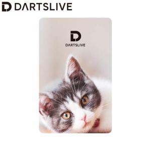 ダーツ DARTSLIVE  アクセサリ > ダーツライブカード > DARTSLIVE CARD #058 ＜20