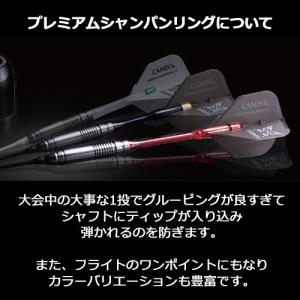 ダーツ L-STYLE PREMIUM Cha...の詳細画像5