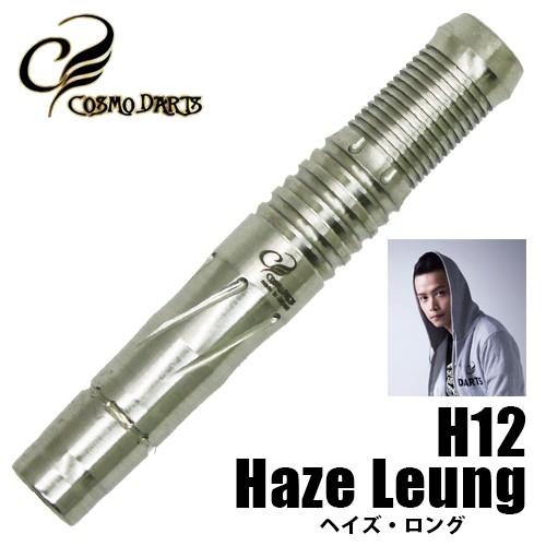 ダーツ バレル コスモダーツ H12 Haze LEUNG モデル