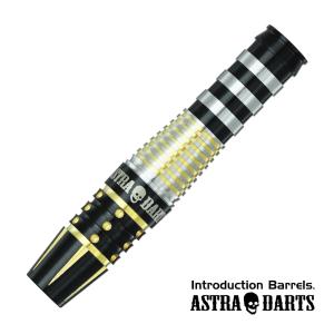 SALE ダーツ バレル ASTRA DARTS DYNASTY T-arrow6 コーティング 谷内太郎 選手モデル アストラダーツ (ポスト便OK/5トリ)｜dartsshoptito
