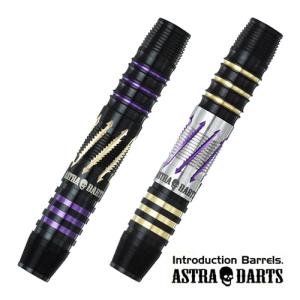 ダーツ バレル アストラダーツ ASTRA DARTS Re DRAGOON 森窪龍己 選手モデル リ ドラグーン (ポスト便OK/5トリ)｜dartsshoptito