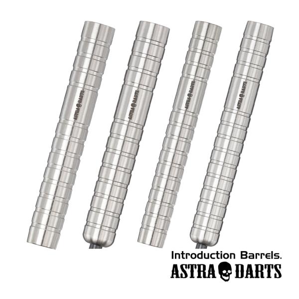 ダーツ バレル DYNASTY ASTRA DARTS Rakkaus ST 粕谷晋 選手モデル ダ...