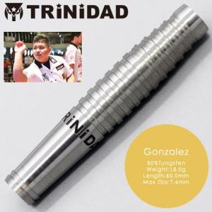 ダーツ バレル トリニダード プロ ゴンザレス TRiNiDAD PRO Gonzalez 西哲平 考案モデル｜dartsshoptito