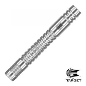 SALE ダーツ バレル ターゲット TARGET DIMITRI VAN DEN BERGH G2 ディミトリ・ヴァン・デン・バーグ｜dartsshoptito