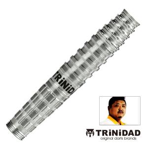 ダーツ バレル トリニダード プロ ゴンザレス3 TRiNiDAD PRO Gonzalez type 3 西哲平 考案モデル｜dartsshoptito