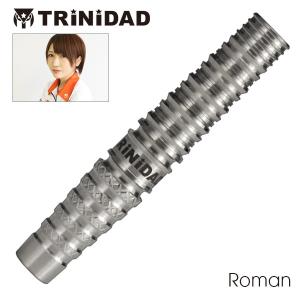 ダーツ バレル トリニダード プロ ローマン TRiNiDAD PRO Roman 宮脇実由 考案モデル 2BA くま｜dartsshoptito