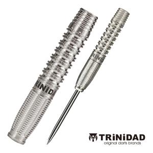 ダーツ バレル TRiNiDAD PRO Leon type 3 2BA Steel トリニダード プロ レオン3 一宮弘人 選手考案モデル