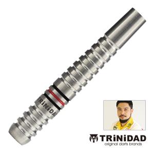 ダーツ バレル TRiNiDAD PRO Gomez 12 20g トリニダード プロ ゴメス12 20g 山田勇樹 選手考案モデル (ポスト便OK/5トリ)｜dartsshoptito