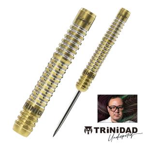 ダーツ バレル TRiNiDAD Undisputed RICARDO 浅田斉吾 選手モデル トリニダード アンディスピューティド リカルド｜dartsshoptito