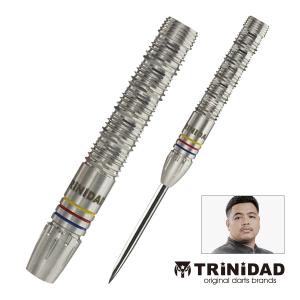 ダーツ バレル TRiNiDAD PRO Raymond トリニダード プロ レイモンド 選手モデル (ポスト便OK/5トリ)｜dartsshoptito