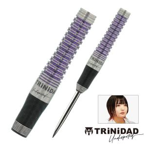 ダーツ バレル TRiNiDAD Undisputed ROMERO2 岩田夏海 選手モデル トリニダード ロメロ2 (ポスト便OK/5トリ)｜dartsshoptito