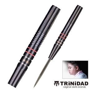 ダーツ バレル TRiNiDAD PRO HUGO Hugo Leung 選手モデル トリニダード プロ ヒューゴ (ポスト便OK/5トリ)｜dartsshoptito