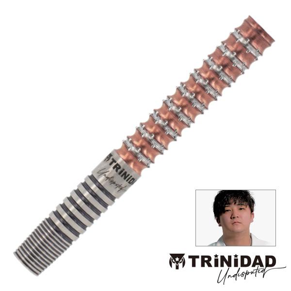 ダーツ バレル TRiNiDAD Undisputed KID2 ST 後藤智弥 選手モデル トリニ...