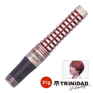 ダーツ バレル TRiNiDAD Undisputed ROMERO2 21g 岩田夏海 選手モデル トリニダード ロメロ2｜dartsshoptito