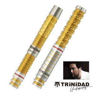 ダーツ バレル TRiNiDAD Undisputed RICARDO LOPEZ トリニダード