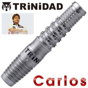 ダーツ バレル トリニダード プロ カルロス TRiNiDAD PRO Carlos 竹本吉伸 考案モデル｜dartsshoptito