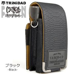 ダーツケース TRiNiDAD PLAIN C...の詳細画像1