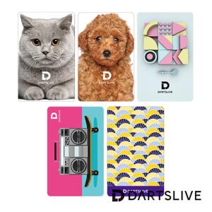 ダーツ DARTSLIVE CARD ライブカード 052 06-10