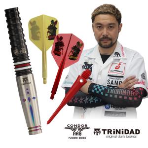 TRiNiDAD CONDOR Gomechu トリニダード コンドル ゴメチュ 山田勇樹 セッティングセット｜dartsshoptito