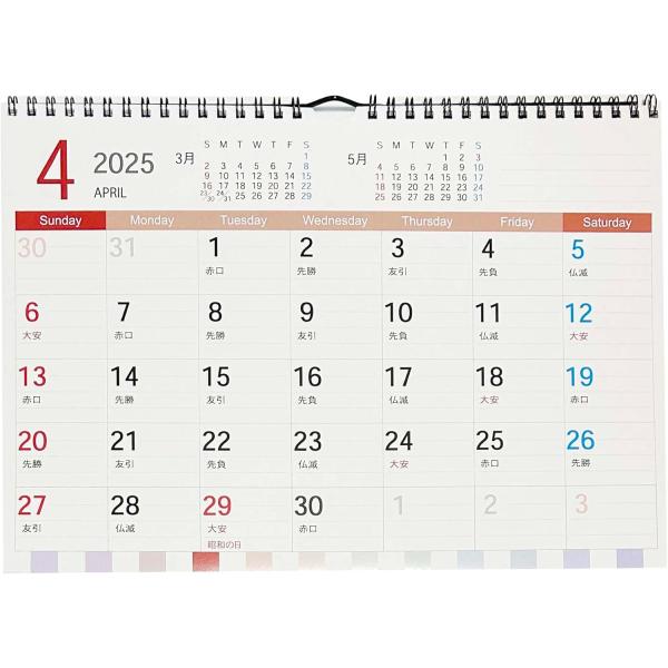 2025年カラー壁掛けリングカレンダー GC-004_A4 人気 エコで見やすく使いやすく便利 カラ...