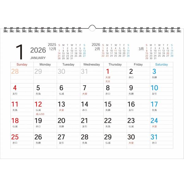 2026年カラー壁掛けリングカレンダー SP-1_A4 人気 エコで見やすく使いやすく便利 SIMP...