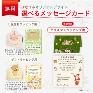 【ラッピング無料】 赤ちゃん おもちゃ 1歳 ...の詳細画像3