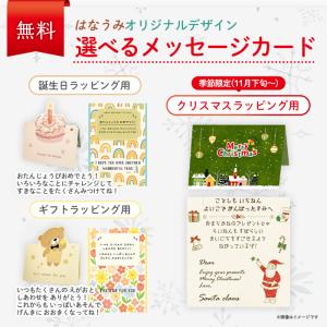 【ラッピング無料】 赤ちゃん 知育キューブ 6...の詳細画像3