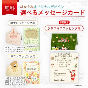 【花海公式】【1位常連】 おきあがりこぼし マ...の詳細画像3