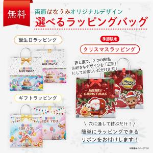 【ラッピング無料】 ビジーボード ひらがな 日...の詳細画像3