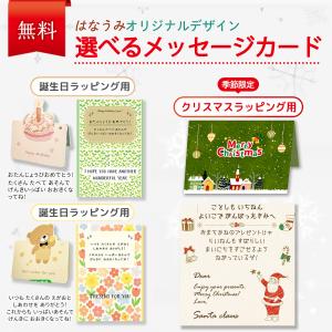 【ラッピング無料】 ビジーボード ひらがな 日...の詳細画像4