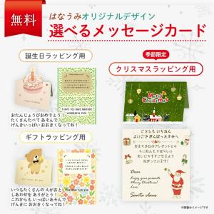 【ラッピング無料】 マグネットキューブ マグネ...の詳細画像1