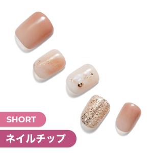 ネイルチップ ネイルシール ジェルネイル ネイル