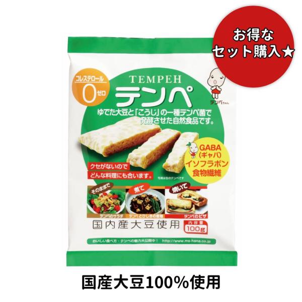 テンペ マルシン食品 大豆 非常食 テンペ菌 インドネシア料理