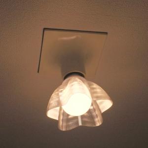 ランプシェード シェードのみ LED電球カバー...の詳細画像3