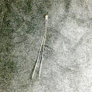 サーミスタ 100 kΩ (NTC 3950 1%, ワイヤなし，3D プリンタなどのための)