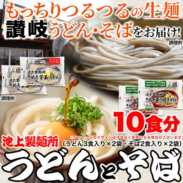 さぬきうどん・そば 10食セット 池上製麺所監修 お店のうどんを再現 お店の味をご家庭で 生麺 鎌田...