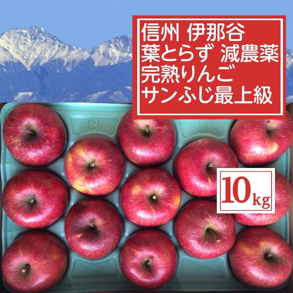 りんご 長野 サンふじ《葉とらず完熟りんご》 最上級 10Kg（20〜30個）無袋　減農薬栽培 葉取...