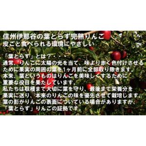 りんご 長野 信州伊那谷《葉とらず完熟りんご》...の詳細画像3