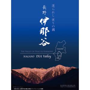 りんご 長野 信州伊那谷《葉とらず完熟りんご》...の詳細画像4