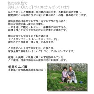 りんご 長野 信州伊那谷《葉とらず完熟りんご》...の詳細画像5