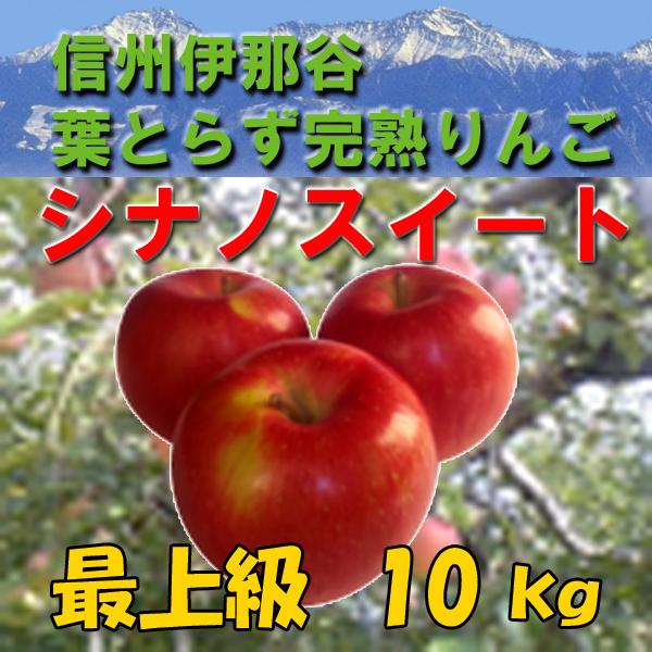 信州伊那谷の《葉とらず完熟りんご》シナノスイート 最上級 10Kg（20〜32個）