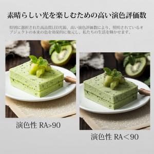 スポットライト レールライト 一体式 2個セッ...の詳細画像4