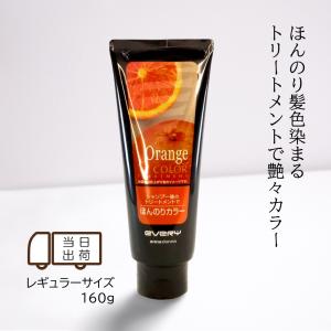 カラーシャンプー＆トリートメント アンナドンナ（annadonna） カラーシャンプー むらさきシャンプーと