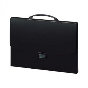 LIHIT LAB.(リヒトラブ)　ポートフォリオ・ナスカフレックス　キャリングケース　B4　黒　F...