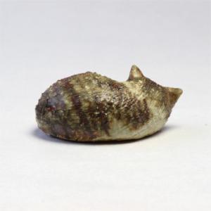 陶里 信楽焼 置物 ねんね猫 子 AR241の詳細画像1