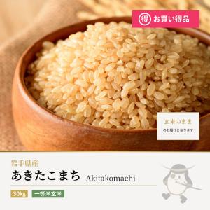 コシヒカリ 米 30kg 送料無料 令和7年産 熊本県阿蘇産コシヒカリ 玄米