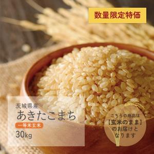 あきたこまち 一等米玄米 30kg 茨城県産 令和2年産
