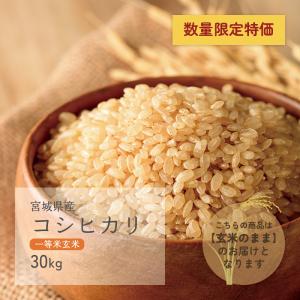 コシヒカリ 一等米玄米 30kg 宮城県産 令和2年産